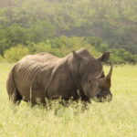 0B365F0F-DB4A-4311-9A67-58BA27CC1705_1_105_c