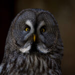 90B0CDDE-FF01-431E-B404-46598E04127D_1_105_c