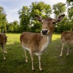 DA9925A9-35FD-4858-8A82-B8D3826BB089_1_105_c