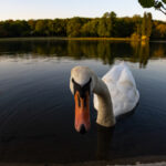 F7617C6C-815D-4DF1-AE53-1FDEA39A1708_1_105_c